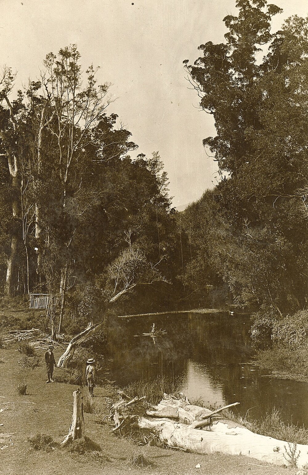 Wairoa River scenic postcard