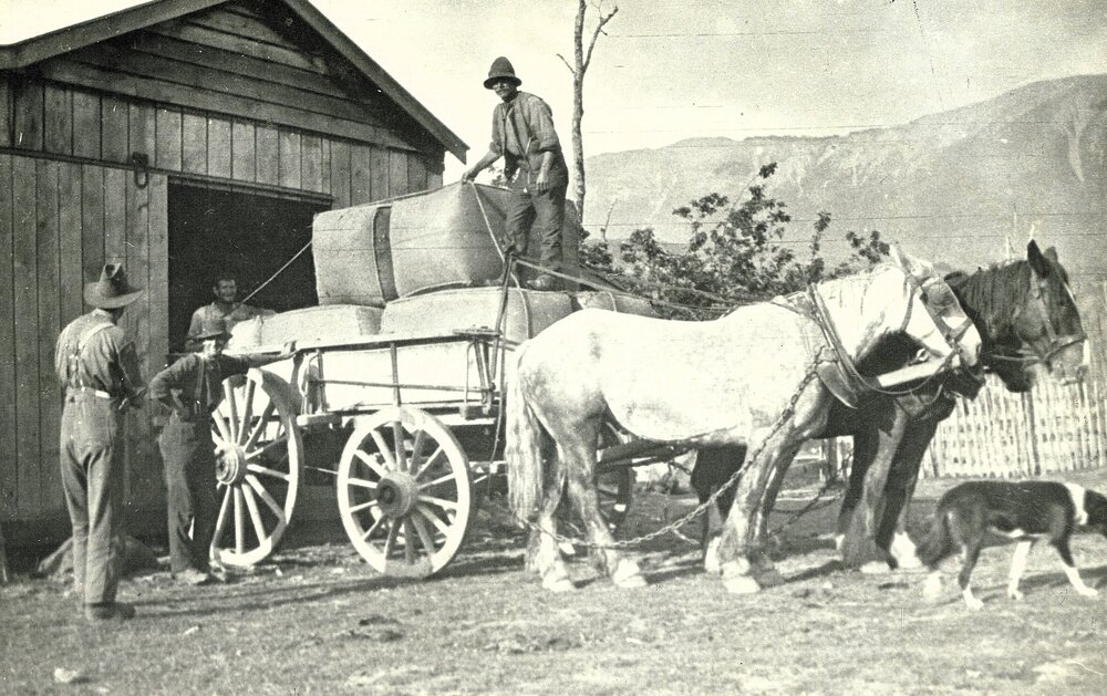 Horse and wagon 