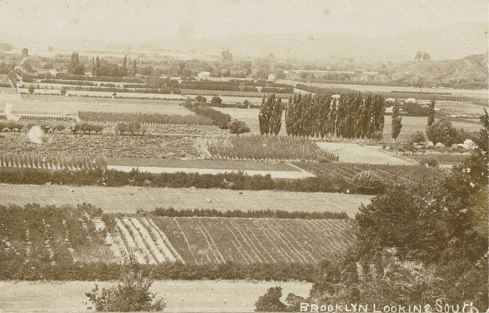 Brooklyn looking South 