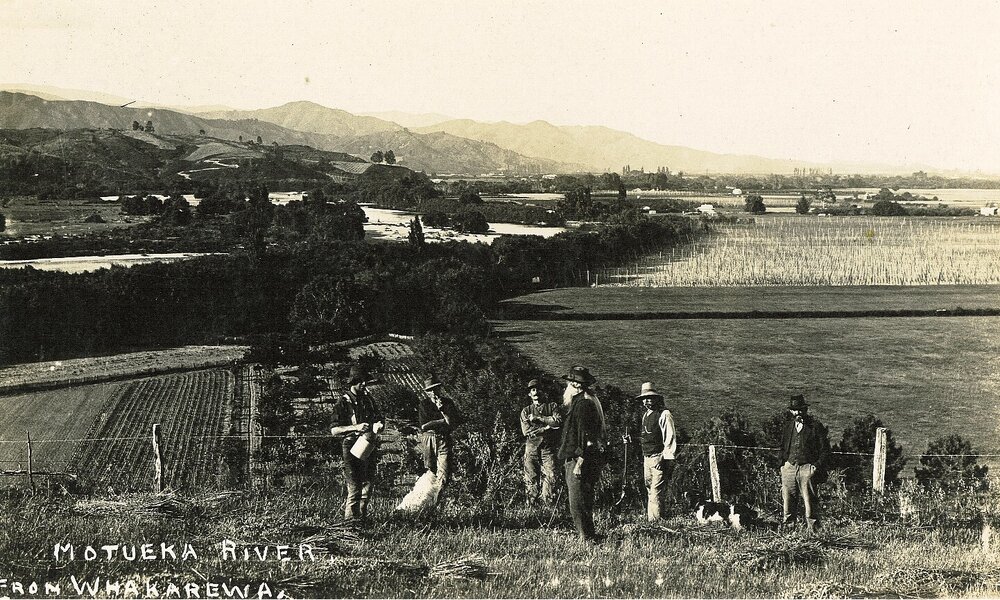 Motueka River as seen from Whakarewa 