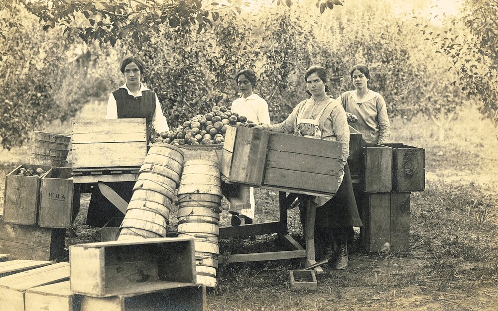 Women in apple orchard