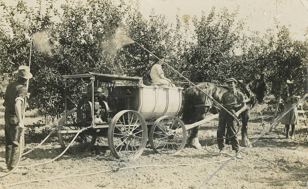 Spraying machine in an apple orchard