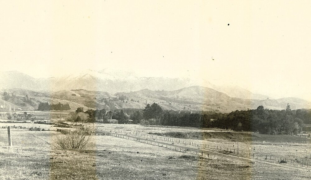 Stanley Brook looking towards Mount Arthur 