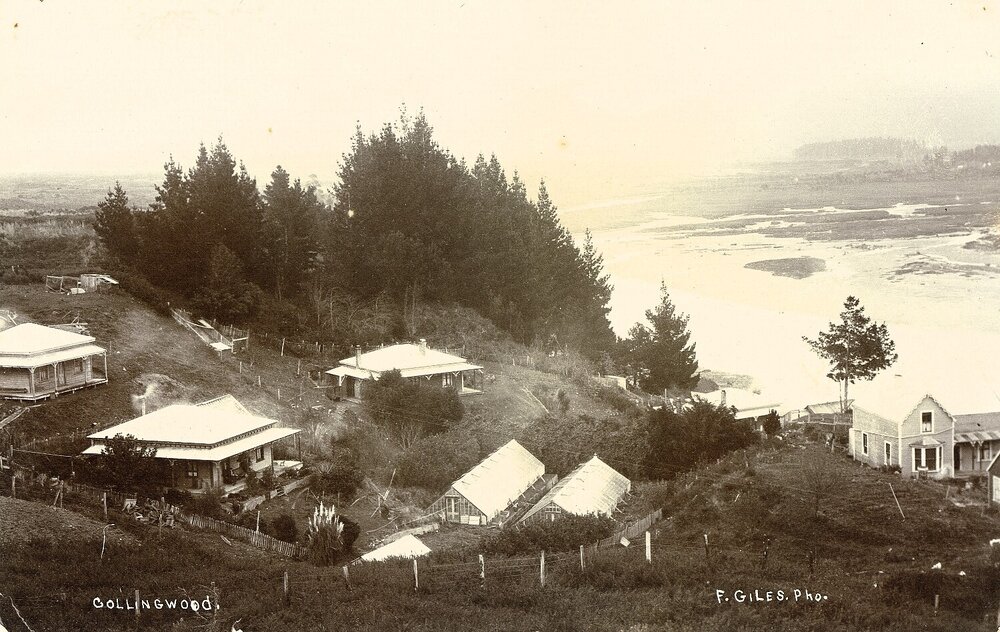 Houses at Collingwood