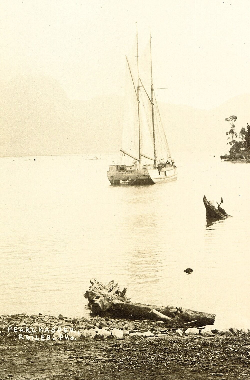 The Pearl Kaspar at Collingwood