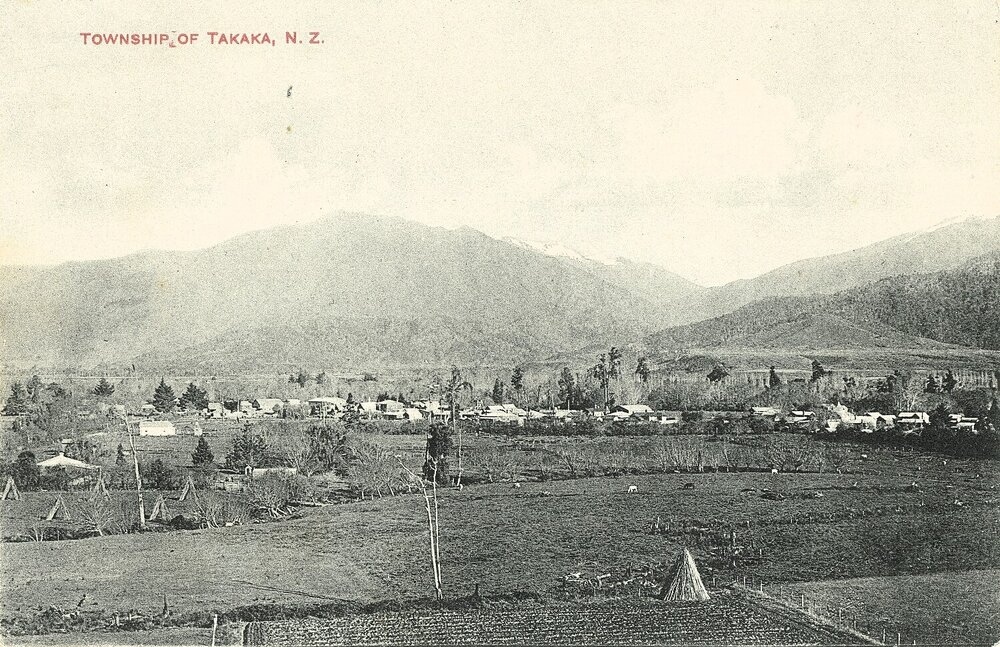 Views of Tākaka township