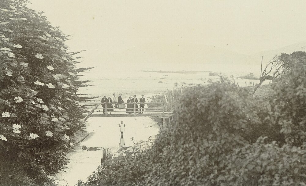 Group of people on a bridge in Golden Bay / Mohua
