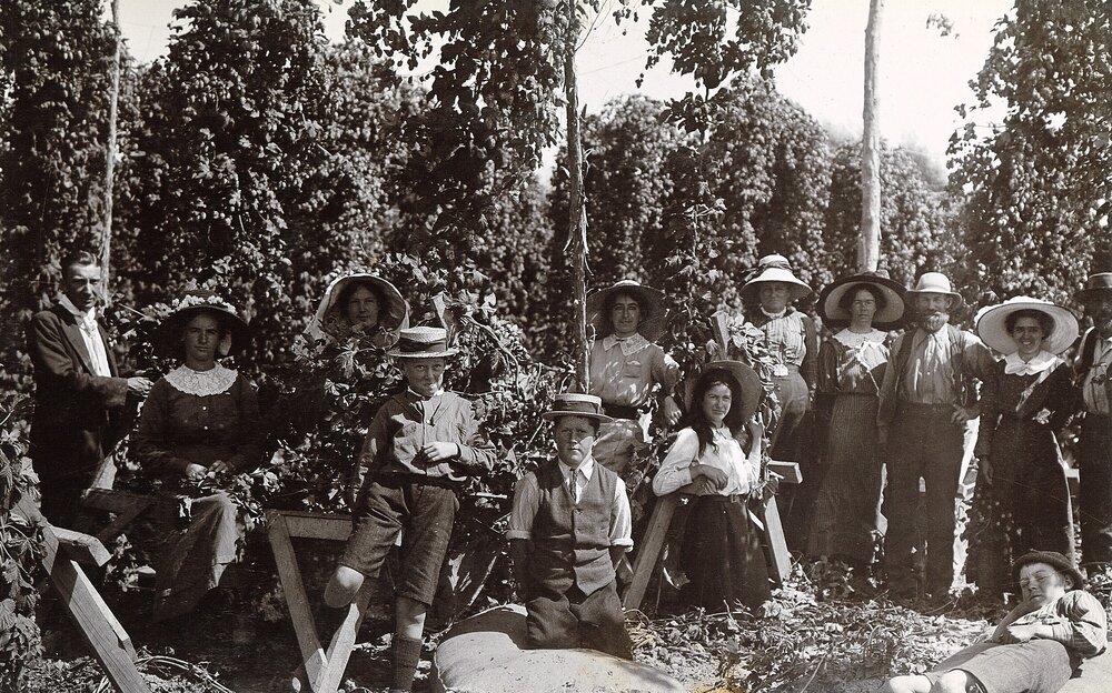 Group in hop garden