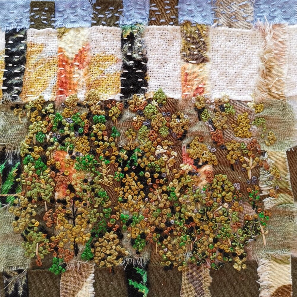 Murchison Beech Forest