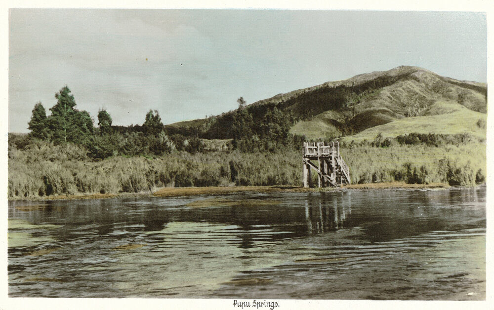 Te Waikoropupū Springs postcard