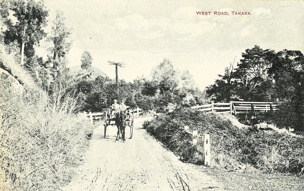 Horse and cart on West Road, East Takaka