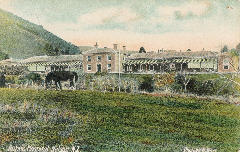 Nelson Hospital