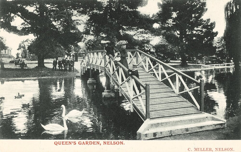 Swans beside the bridge at the Queen's Gardens