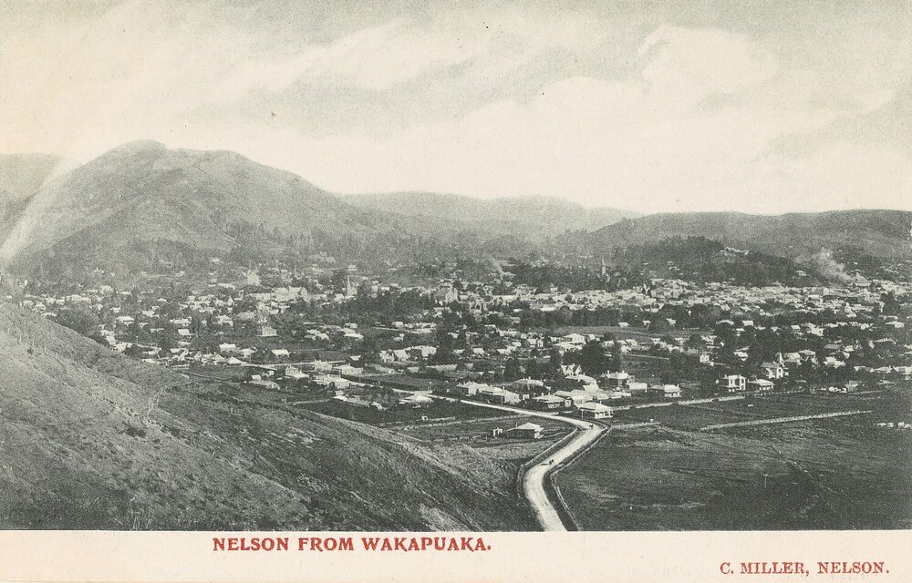 Views of Nelson from Wakapuaka