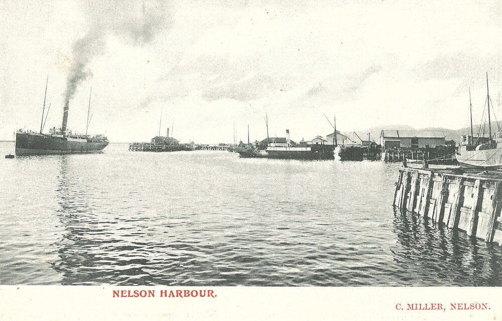 S S Pateena leaving Nelson Harbour