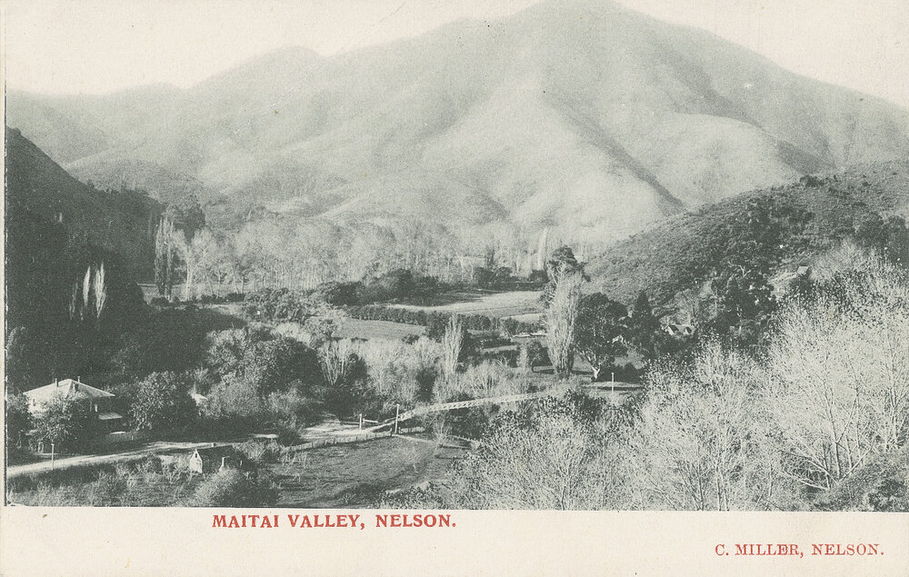 Views of the Maitai Valley 