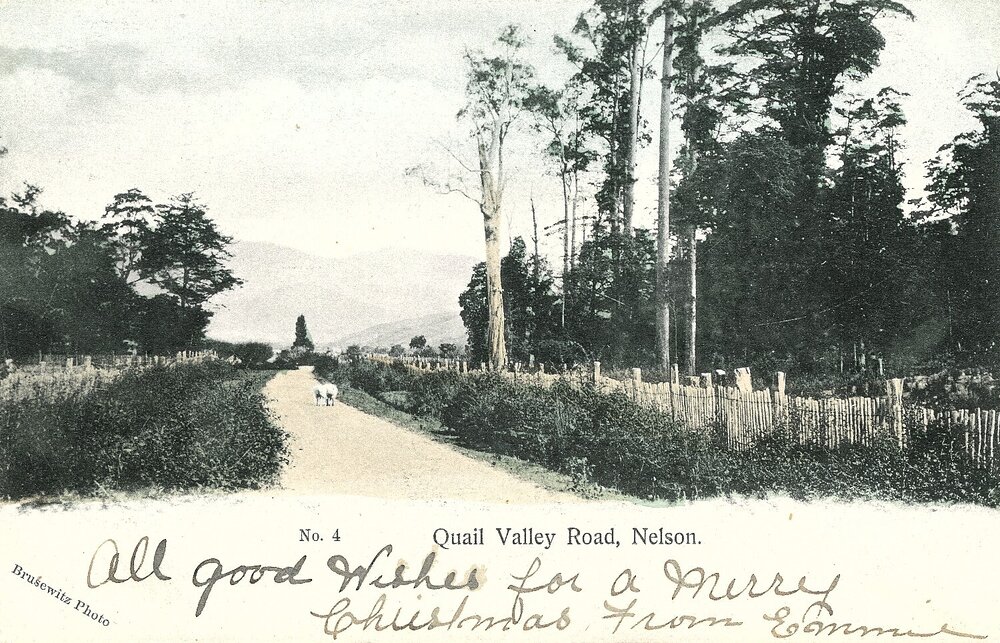 Quail Valley