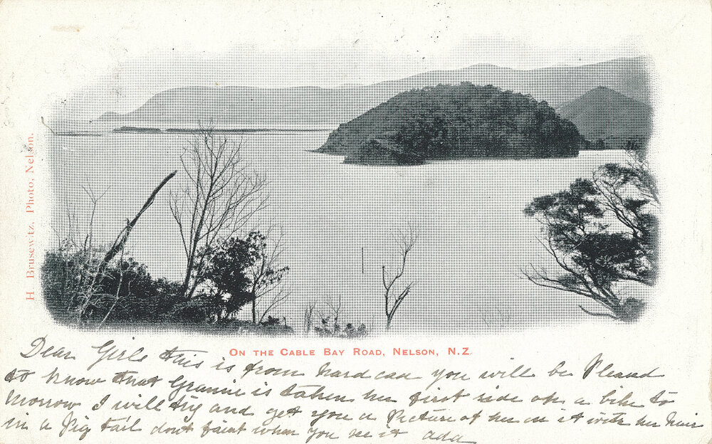More Henry Brusewitz postcards of Nelson