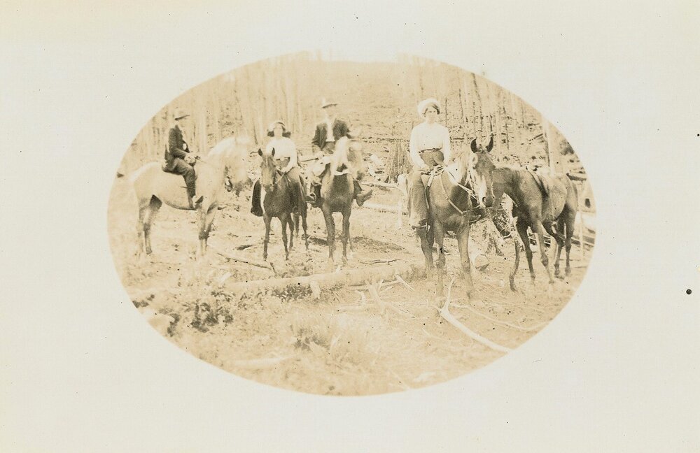 Horse riders in the bush