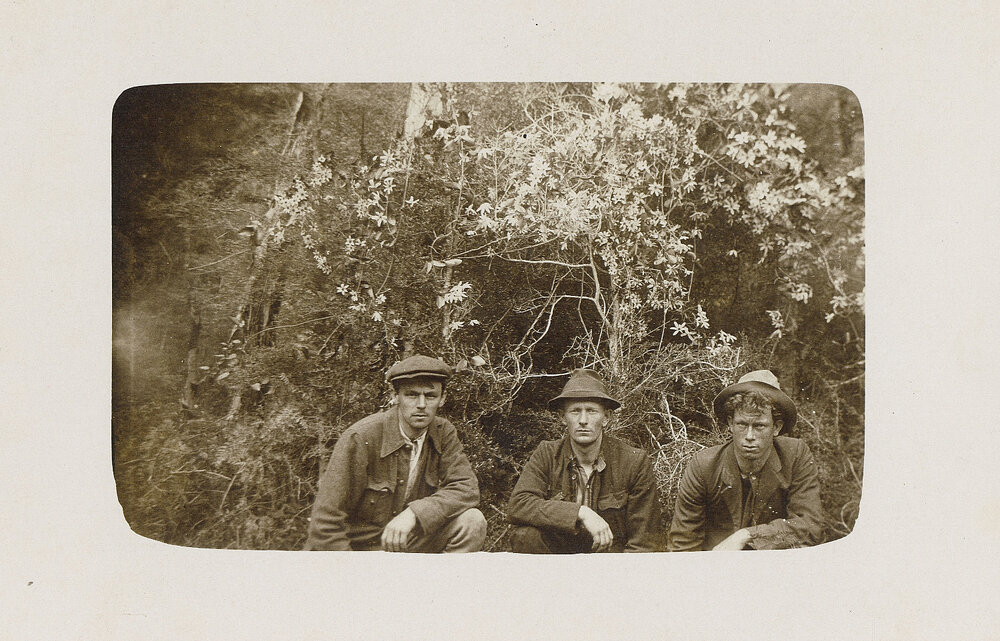 Three men in front of flowering plant