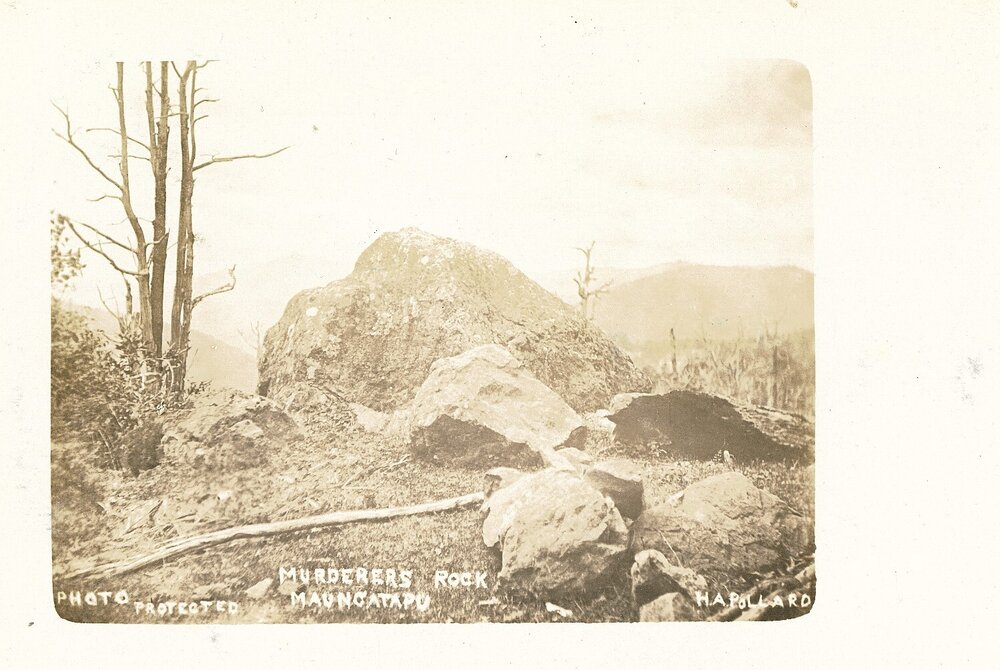 Murderers Rock on the Maungatapu track