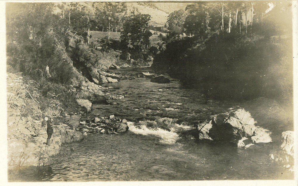 Fishing at the Wairoa Gorge