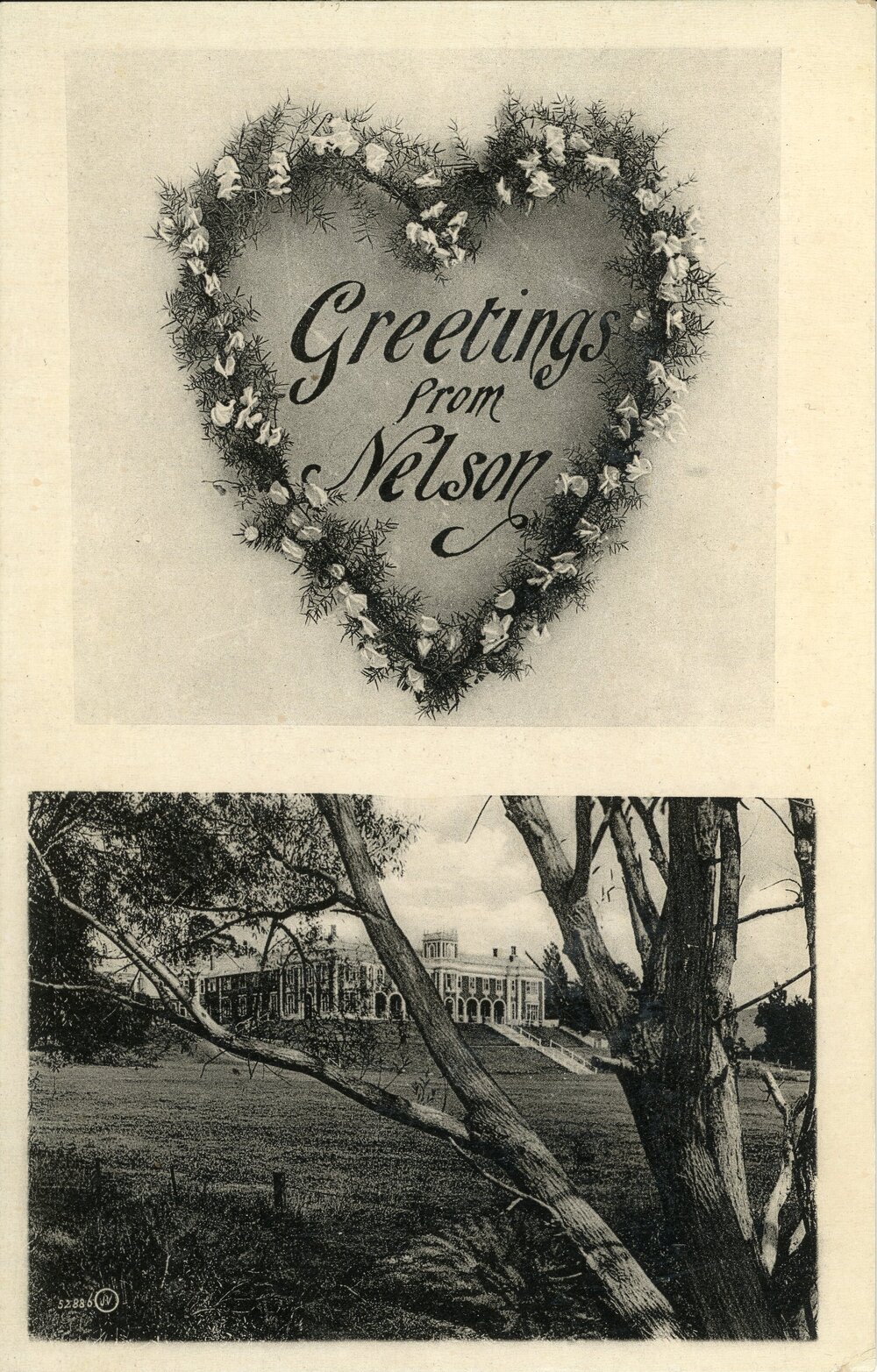 Greetings from Nelson College