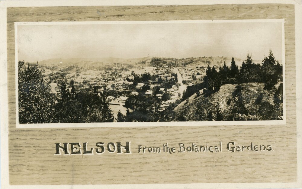 Nelson from the Botanical Gardens