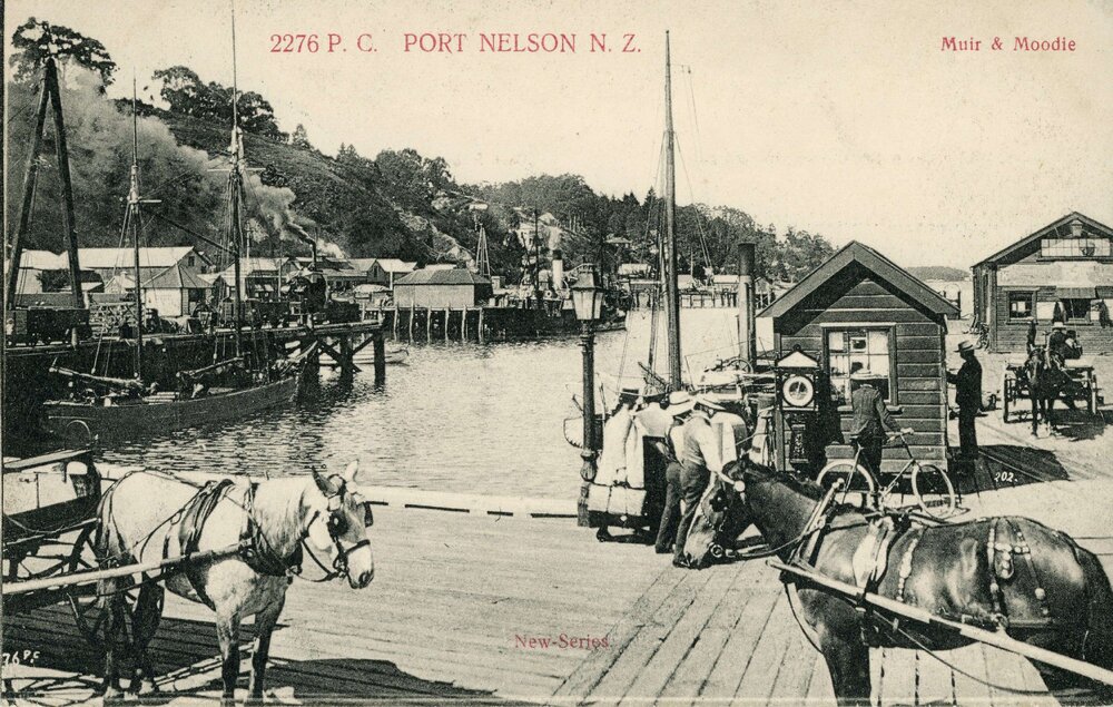 Various images of Port Nelson