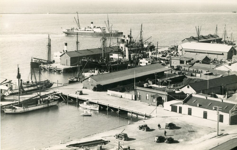 Activity at Port Nelson