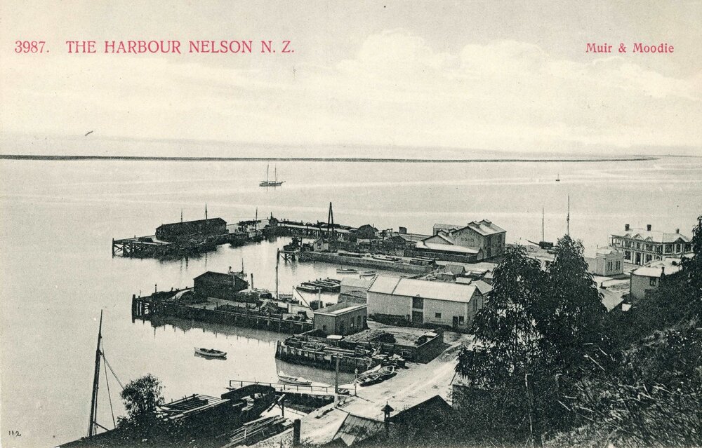 The Harbour Nelson