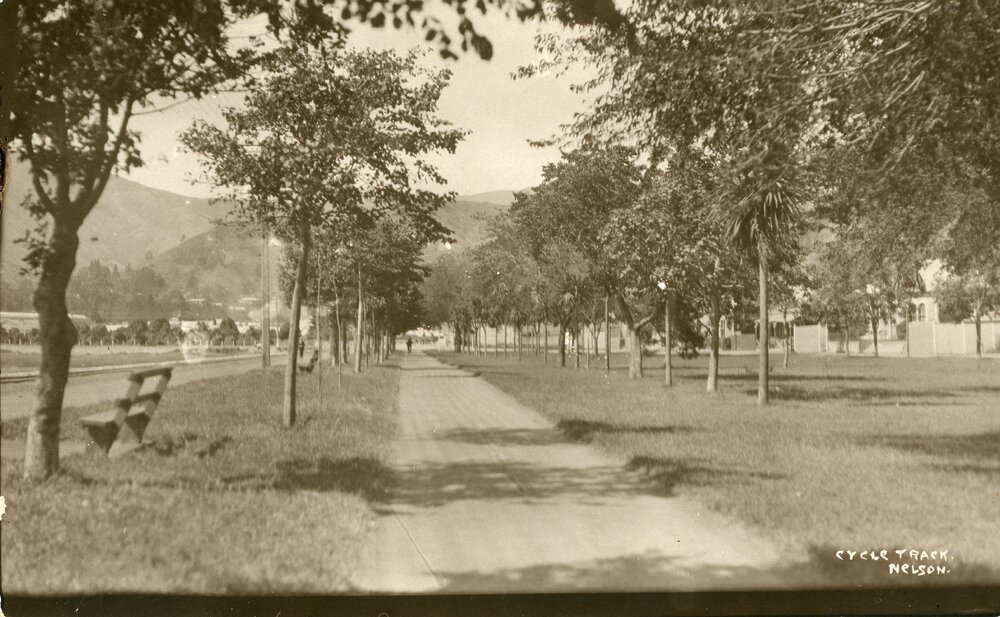 Cycle track in Nelson