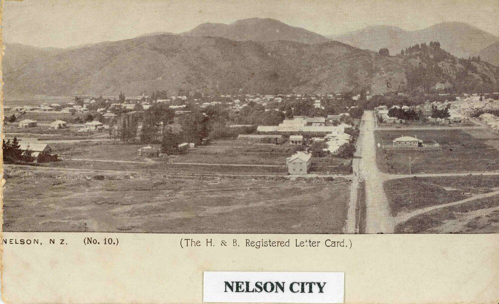 View of Nelson City 