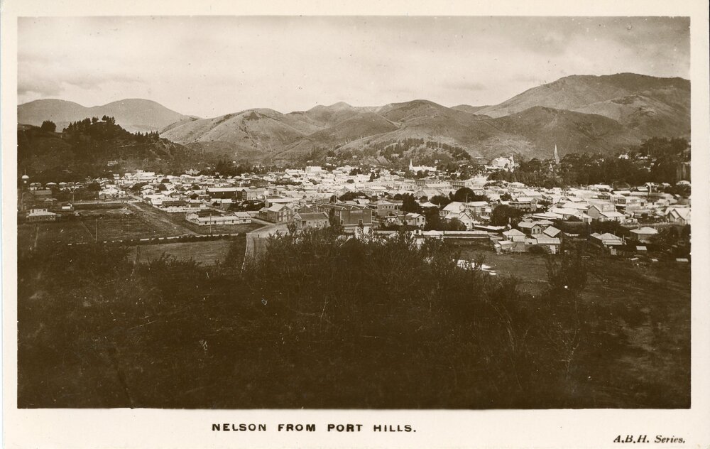 Nelson City from Port Hills