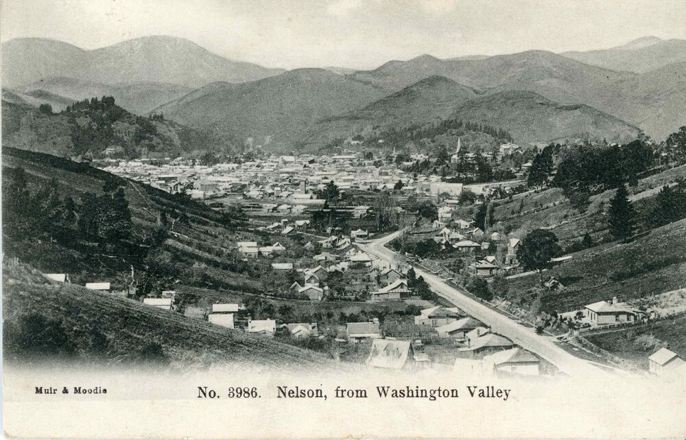 Nelson from Washington Valley