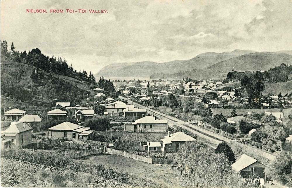 Nelson from Toi-Toi Valley