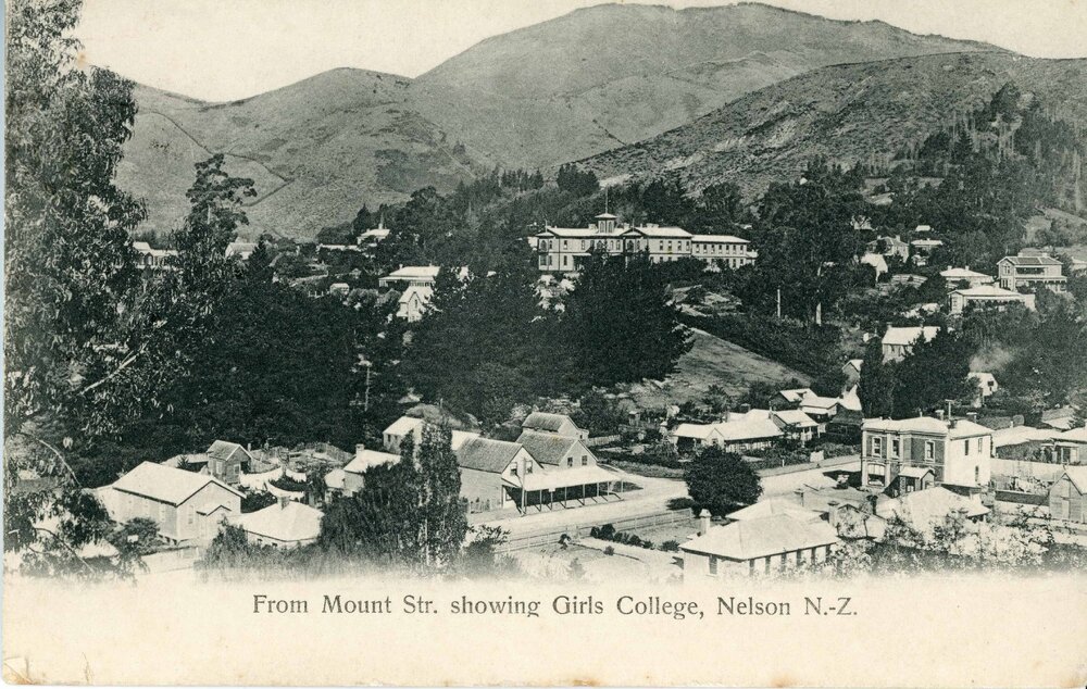 View of Nelson Girls College from Mount Street