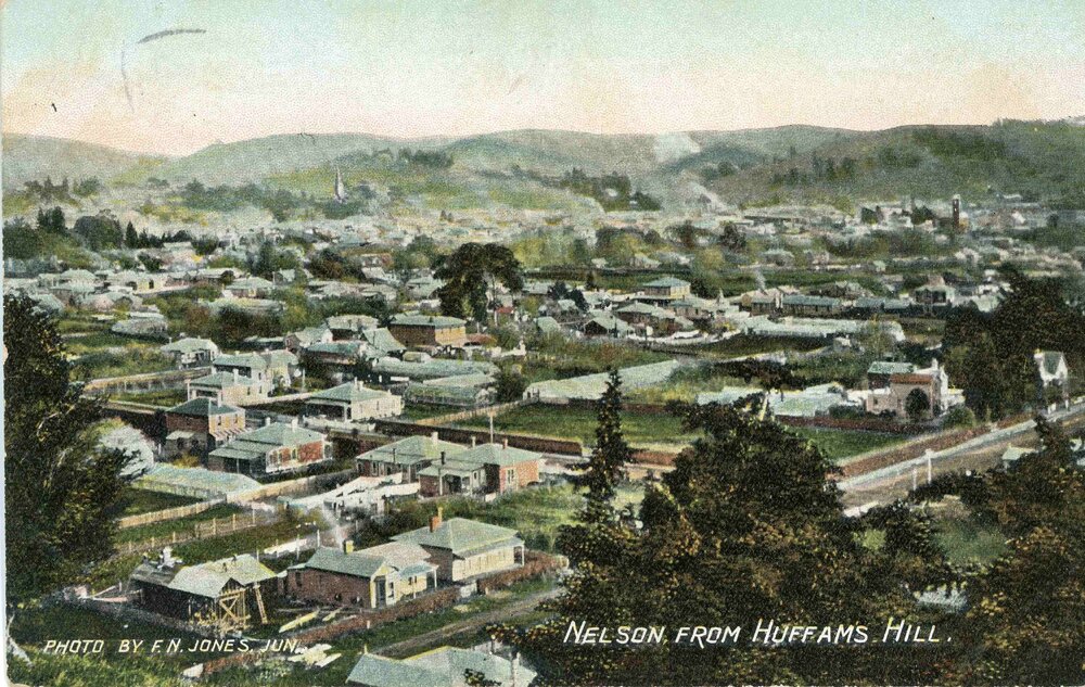 Nelson from Huffam's Hill