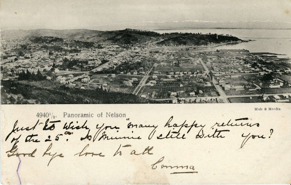 Panoramic of Nelson