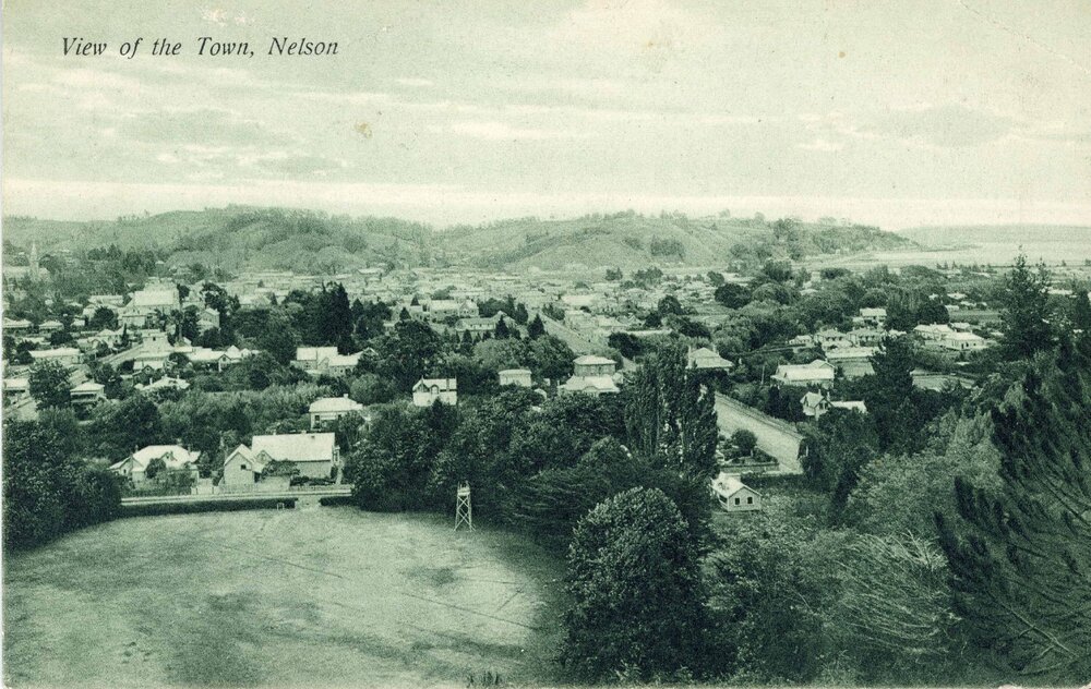 View of the town, Nelson