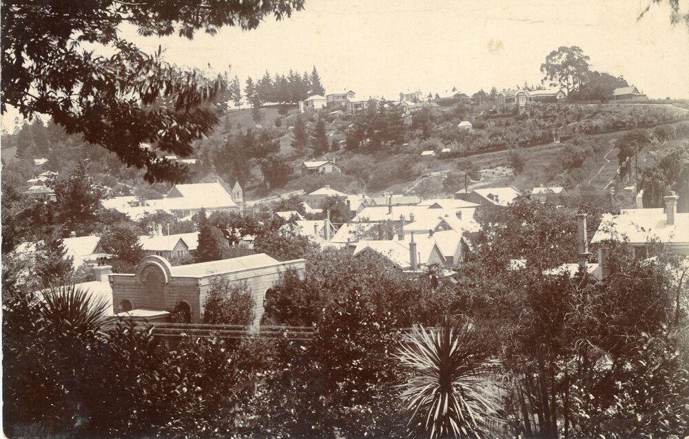 View of Nelson homes