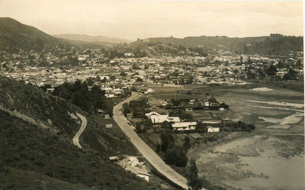 Hilltop view of Nelson