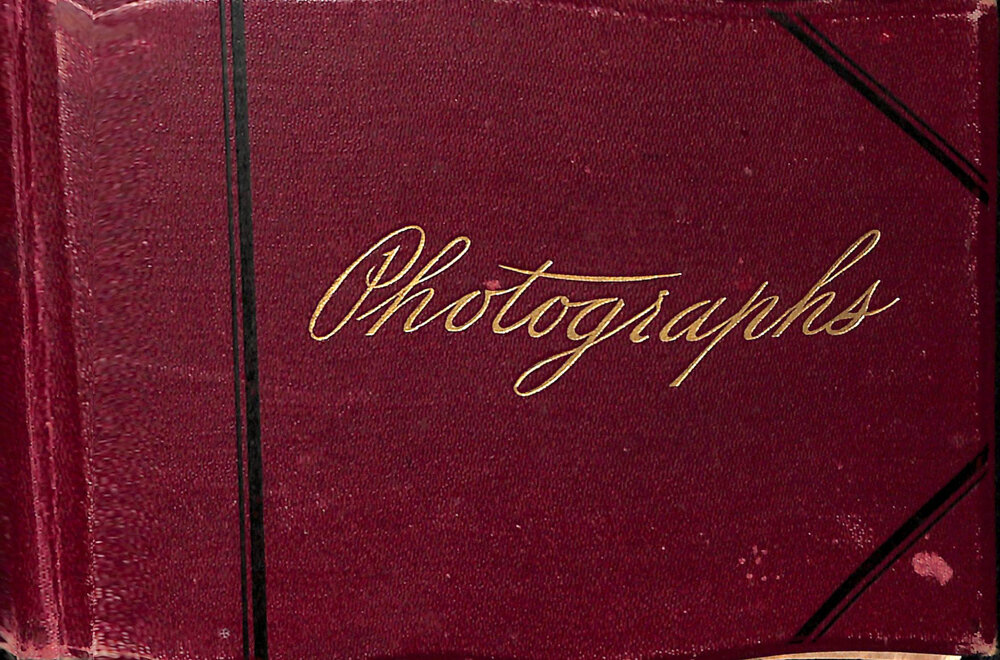 Cruises in Blind Bay and Golden Bay