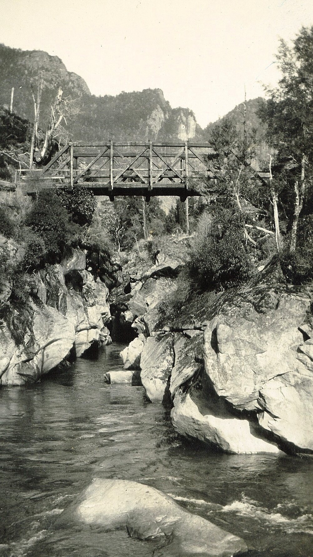 Scenic view of a wooden bridge