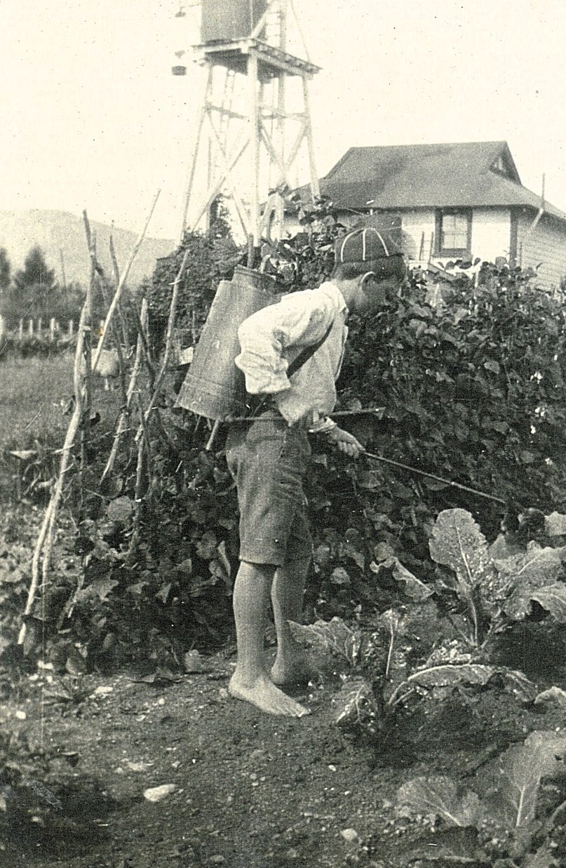 Child spraying vegetable garden 