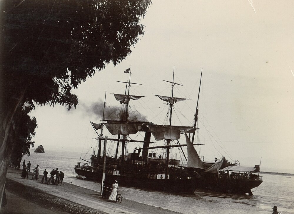Large sailing ship in Nelson