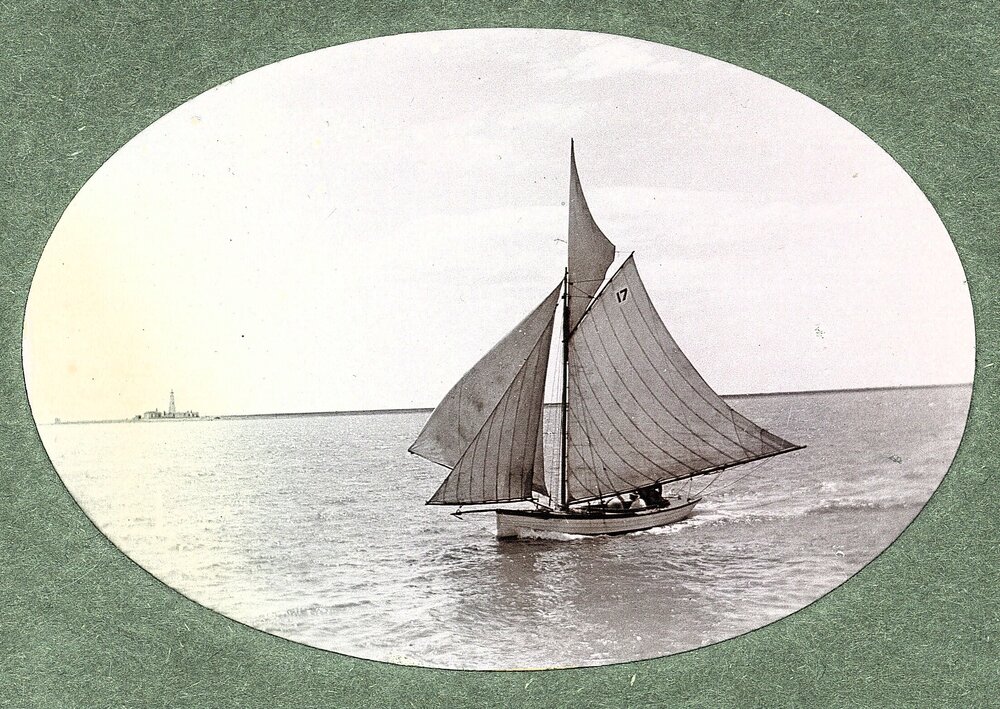 Regatta in Nelson