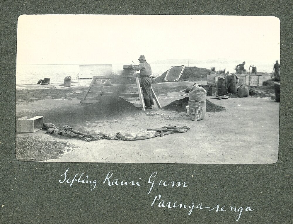 Sifting kauri gum at Paringaringa