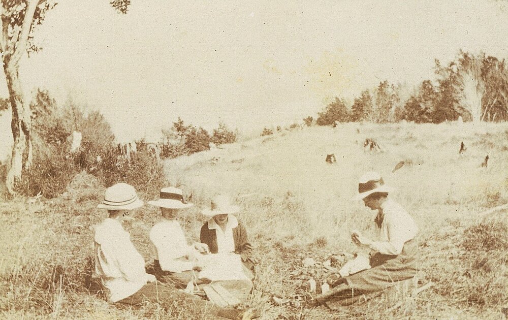 Four women picnicing in a field
