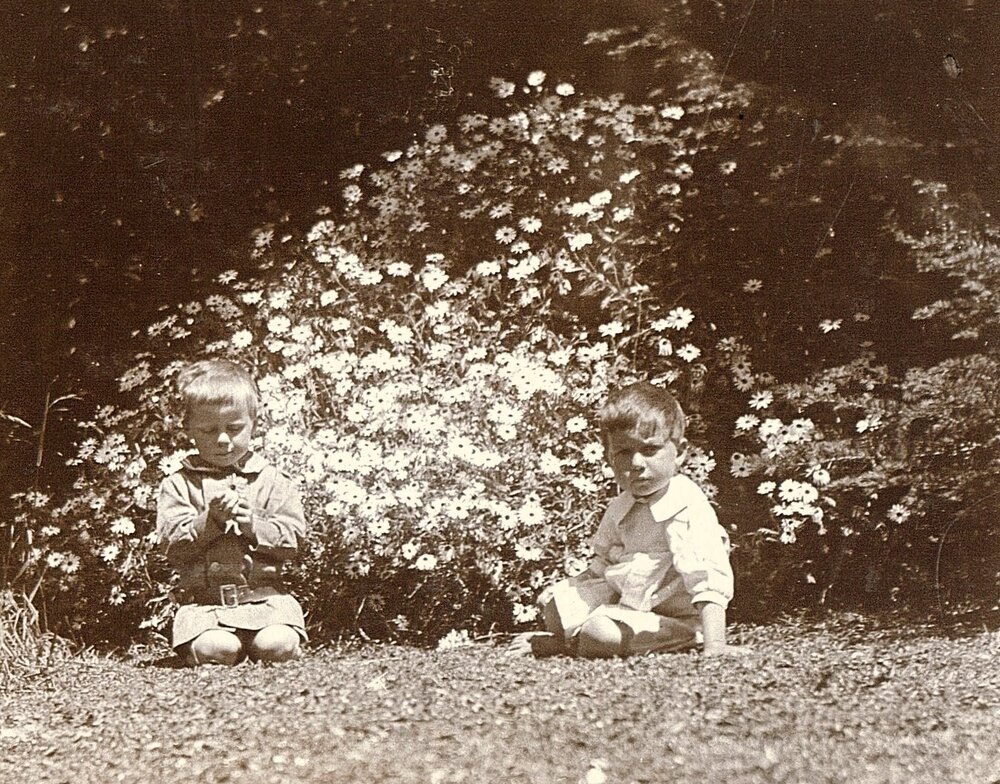 Two young boys in front of flowers